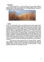 Research Papers 'Neizsmeļamie enerģijas avoti, koksnes potenciālā loma enerģētikā, alternatīvi bi', 7.