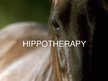 Presentations 'Hippotherapy', 1.