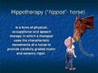Presentations 'Hippotherapy', 2.