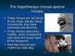 Presentations 'Hippotherapy', 11.