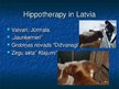 Presentations 'Hippotherapy', 13.