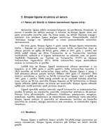 Research Papers 'Eiropas līguma stāšanās spēkā un ar to saistītās problēmas', 5.