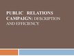 Presentations 'Public Relations Campaign: Description and Efficiency', 1.