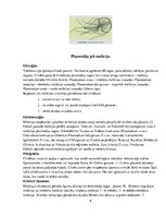 Research Papers 'Medicīniskā parazitoloģija', 9.