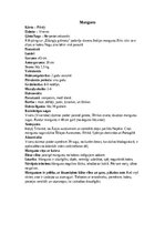 Research Papers 'Mangusti', 3.