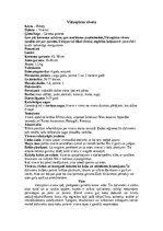 Research Papers 'Mangusti', 13.