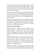 Essays 'Etika: morāles principi un cilvēka rīcība mūsdienu un nākotnes sabiedrībā', 4.