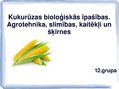 Presentations 'Kukurūzas bioloģiskās īpašības. Agrotehnika, slimības, kaitēkļi un šķirnes', 1.