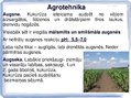 Presentations 'Kukurūzas bioloģiskās īpašības. Agrotehnika, slimības, kaitēkļi un šķirnes', 3.