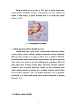 Research Papers 'Cukura diabēts', 5.