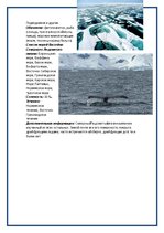 Research Papers 'Природное описание океанов Мирового океана', 14.