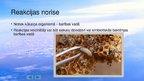 Presentations 'Polietilēna biodegradācija ar kāpuru palīdzību', 13.
