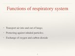 Presentations 'Respiratory System', 5.