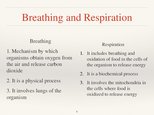 Presentations 'Respiratory System', 6.
