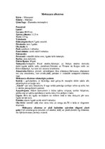 Summaries, Notes 'Albatrosi', 12.