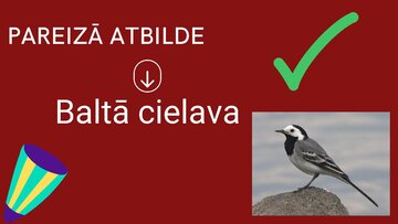 Presentations 'Spēle "Cik daudz tu zini par latviešu kultūru, tradīcijām?"', 5.