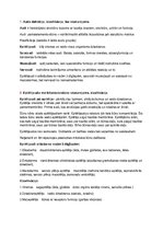 Summaries, Notes 'Eksāmens histoloģijā', 1.