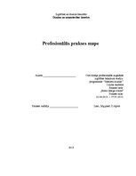 Practice Reports 'Profesionālās prakses mape', 1.