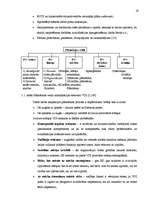 Research Papers 'Uzņēmuma "VDI" vadīšanas sistēmas analīze un novērtējums', 19.