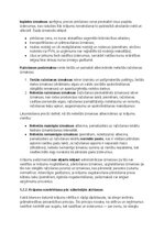 Samples 'Krājumu uzskaites un analīzes izvērtējums uzņēmumā AS Amber', 14.