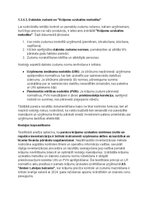Samples 'Krājumu uzskaites un analīzes izvērtējums uzņēmumā AS Amber', 27.
