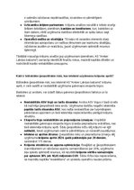 Samples 'Krājumu uzskaites un analīzes izvērtējums uzņēmumā AS Amber', 57.