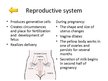 Presentations 'Changes of Different Organ Systems during Pregnancy', 3.