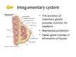 Presentations 'Changes of Different Organ Systems during Pregnancy', 12.