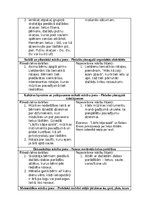 Practice Reports 'Pirmsskolas skolotāja pedagoģiskās prakses atskaite (IV)', 8.