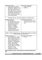 Practice Reports 'Pirmsskolas skolotāja pedagoģiskās prakses atskaite (IV)', 9.