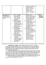 Practice Reports 'Pirmsskolas skolotāja pedagoģiskās prakses atskaite (IV)', 35.