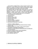 Research Papers 'Darbs ar personālu un grāmatvedības plānošana', 6.
