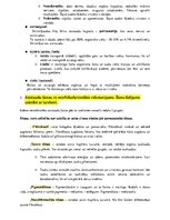 Summaries, Notes 'Histoloģija - konspekts RSU 1.kursam', 4.