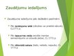 Presentations 'Zaudējumu specifika, paredzamības princips', 4.