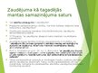 Presentations 'Zaudējumu specifika, paredzamības princips', 14.