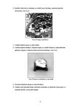 Research Papers 'Automašīnas "Mazda 626 V6" 2.5l motora galveno sastāvdaļu remonta tehnoloģija', 10.