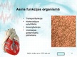 Presentations 'Sirds un asinsvadu sistēma. Asinsrite', 4.