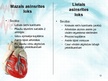 Presentations 'Sirds un asinsvadu sistēma. Asinsrite', 12.