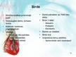 Presentations 'Sirds un asinsvadu sistēma. Asinsrite', 13.
