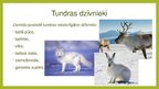 Presentations 'Tundra', 5.