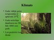 Presentations 'Mitrie tropiskie meži', 7.