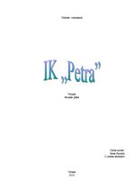 Business Plans 'IK "Petra"', 1.