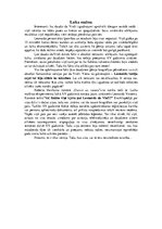 Research Papers 'Universālais - Leonardo da Vinči', 8.