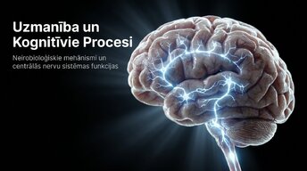 Presentations 'Uzmanība un kognitīvie procesi', 1.