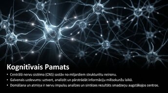 Presentations 'Uzmanība un kognitīvie procesi', 2.