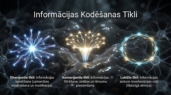 Presentations 'Uzmanība un kognitīvie procesi', 8.