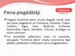Presentations 'A/s "Valmieras piens"', 11.