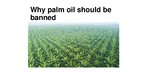 Presentations 'Palm Oil', 1.