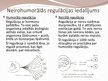 Presentations 'Neirohormonālā regulācija', 4.