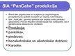Presentations 'Biznesa plāna prezentācija "Pankūku kafejnīca "PanCake""', 17.